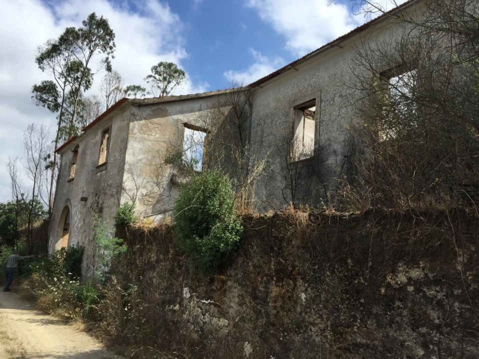 Quinta T15 para Venda em Penacova Foto 25
