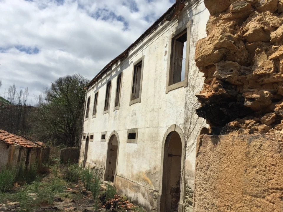 Quinta T15 para Venda em Penacova Foto 8