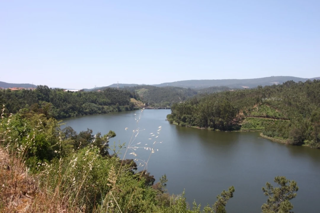 Quinta T15 para Venda em Penacova Foto 29