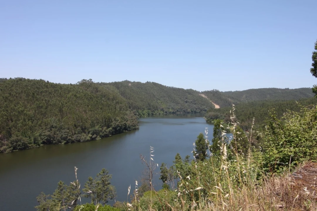 Quinta T15 para Venda em Penacova Foto 30