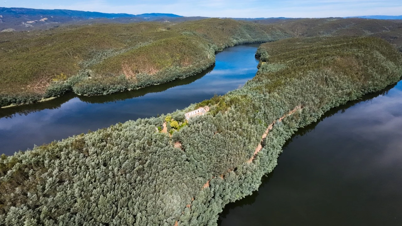 Quinta T15 para Venda em Penacova Foto 4