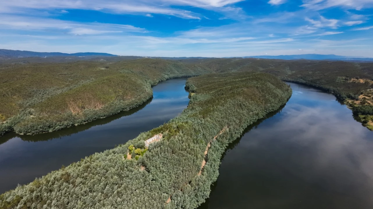 Quinta T15 para Venda em Penacova Foto 34