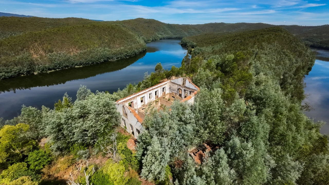 Quinta T15 para Venda em Penacova Foto 2