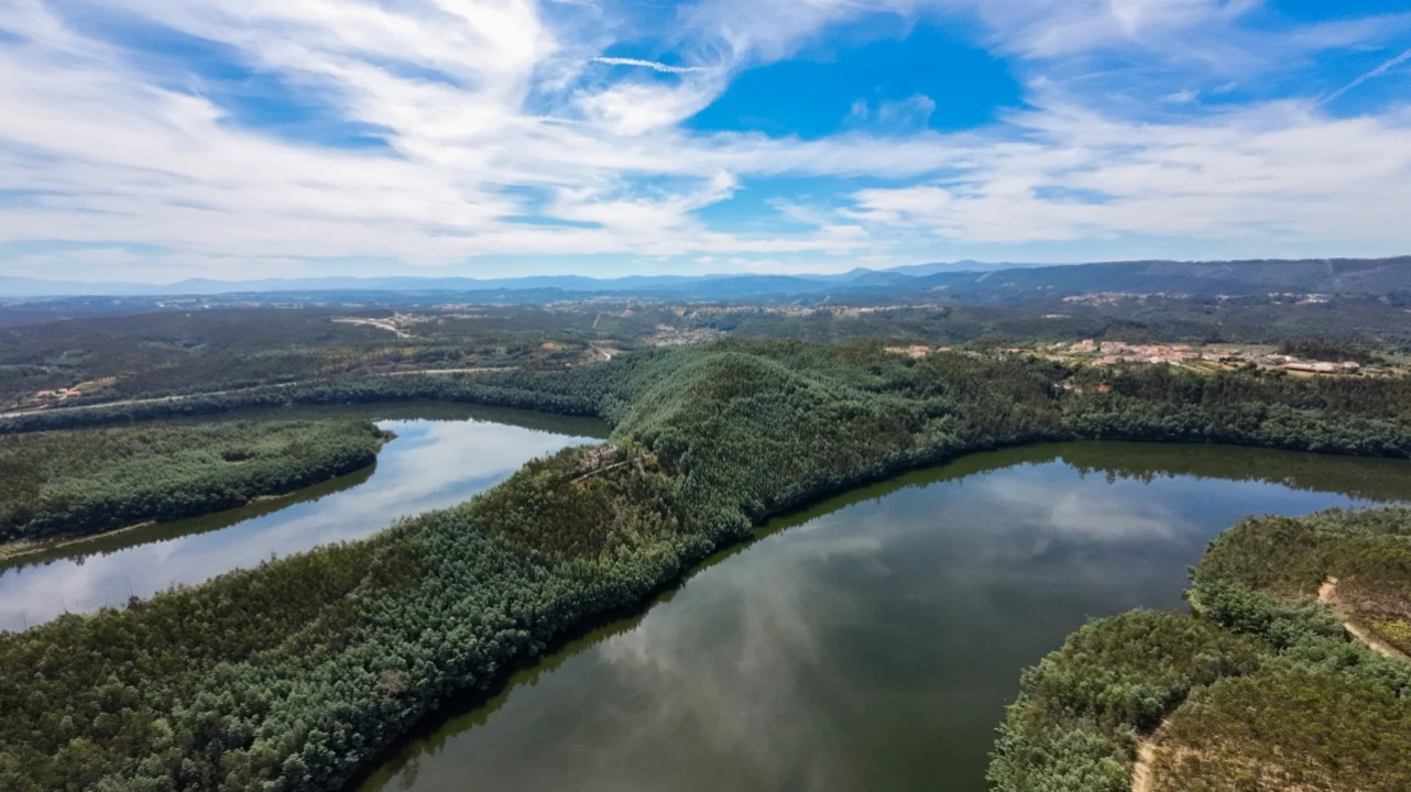 Quinta T15 para Venda em Penacova Foto 36