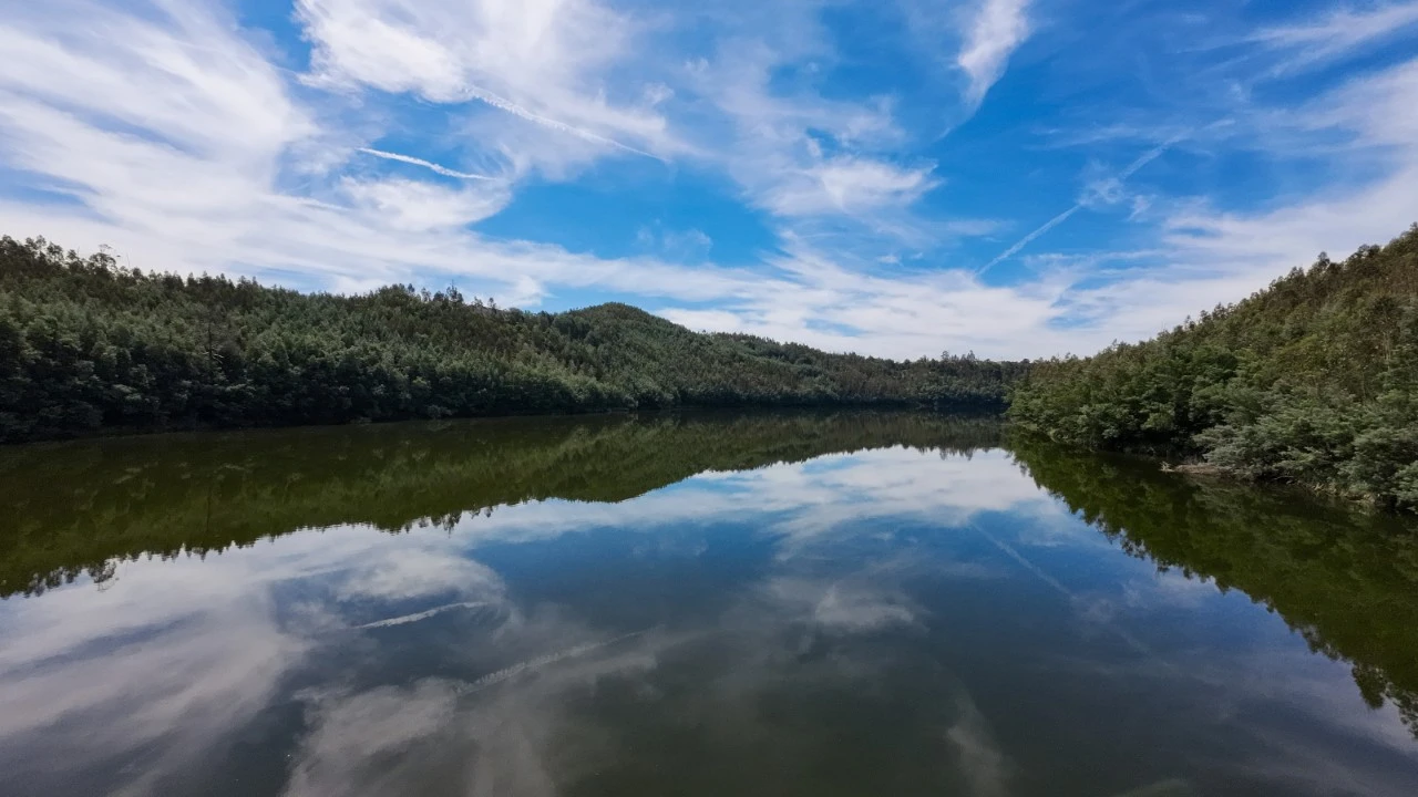 Quinta T15 para Venda em Penacova Foto 38