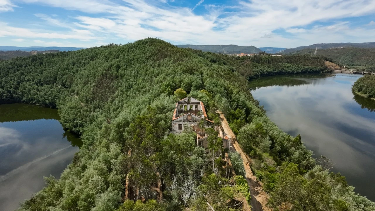 Quinta T15 para Venda em Penacova Foto 1