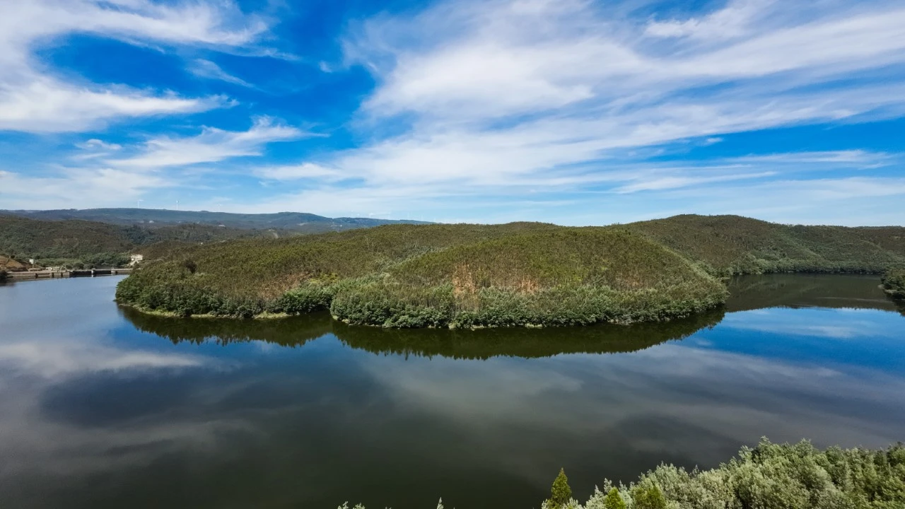 Quinta T15 para Venda em Penacova Foto 40