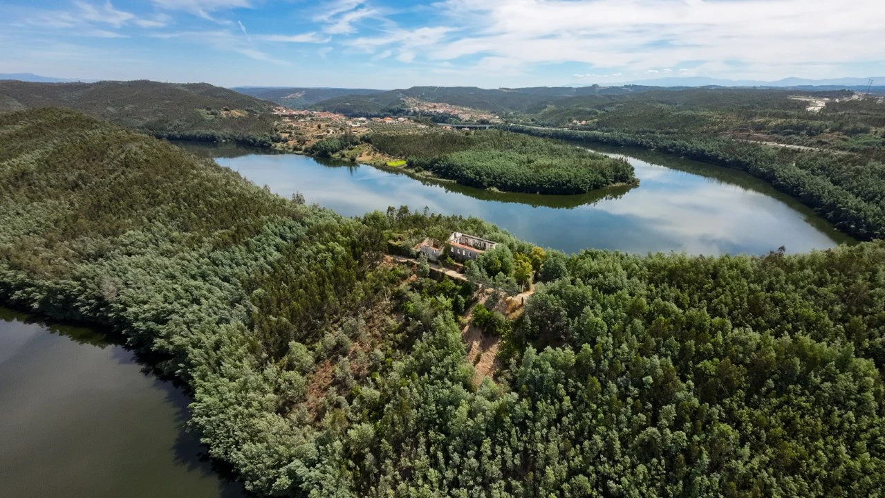 Quinta T15 para Venda em Penacova Foto 42