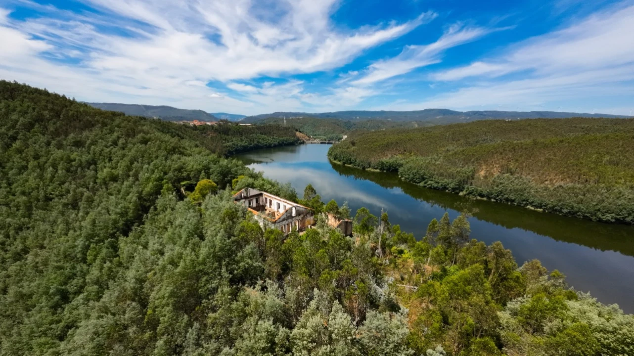 Quinta T15 para Venda em Penacova Foto 43
