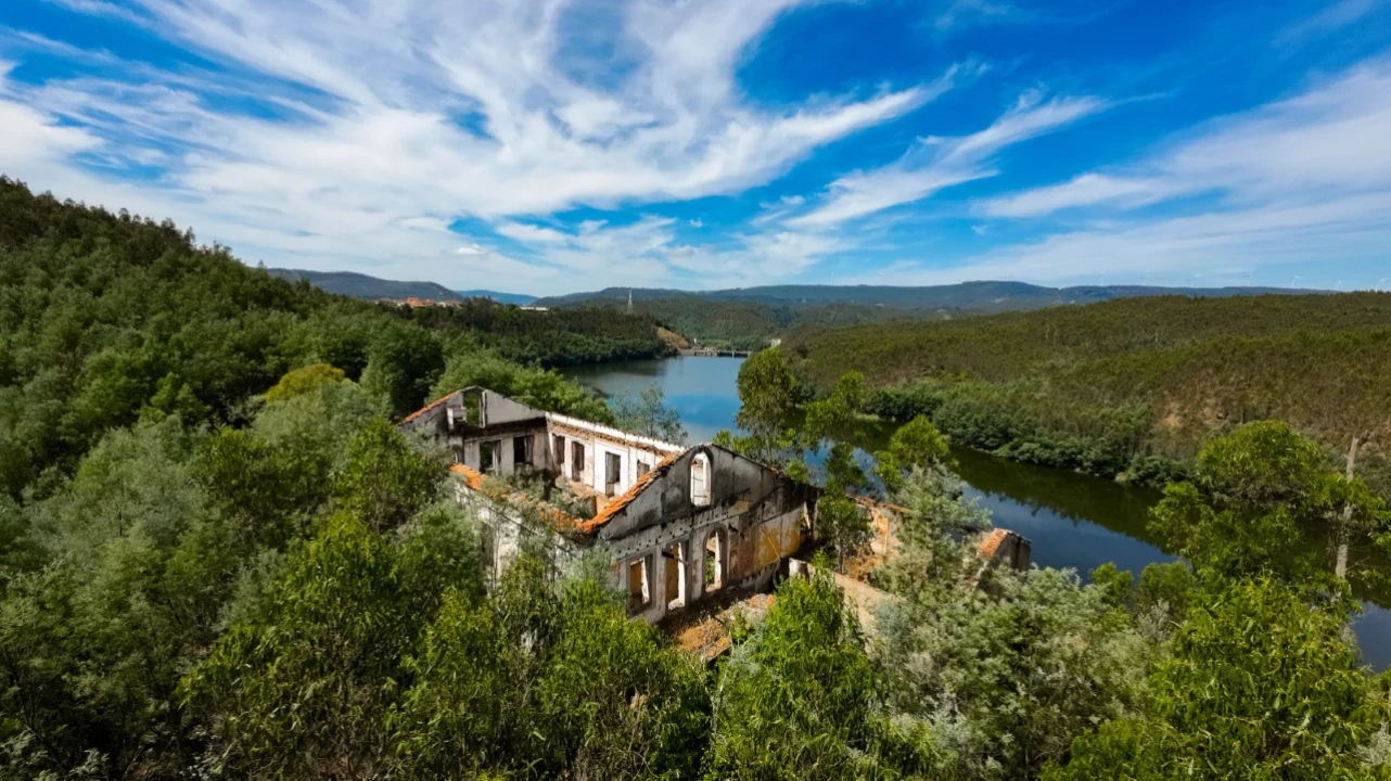 Quinta T15 para Venda em Penacova Foto 6