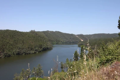 Quinta T15 para Venda em Penacova