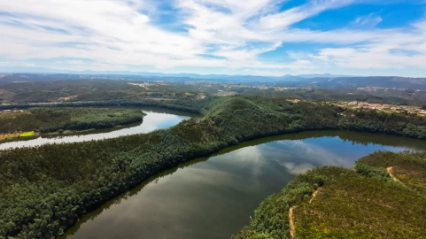 Quinta T15 para Venda em Penacova