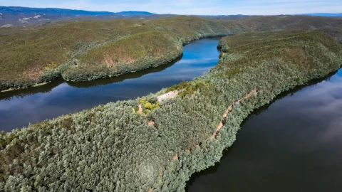 Quinta T15 para Venda em Penacova