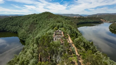 Quinta T15 para Venda em Penacova