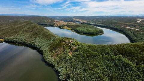 Quinta T15 para Venda em Penacova