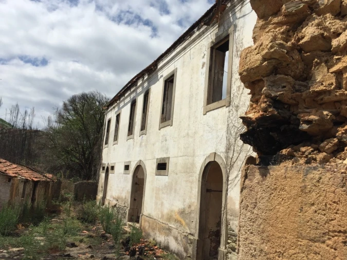 Quinta T15 para Venda em Penacova Foto 8