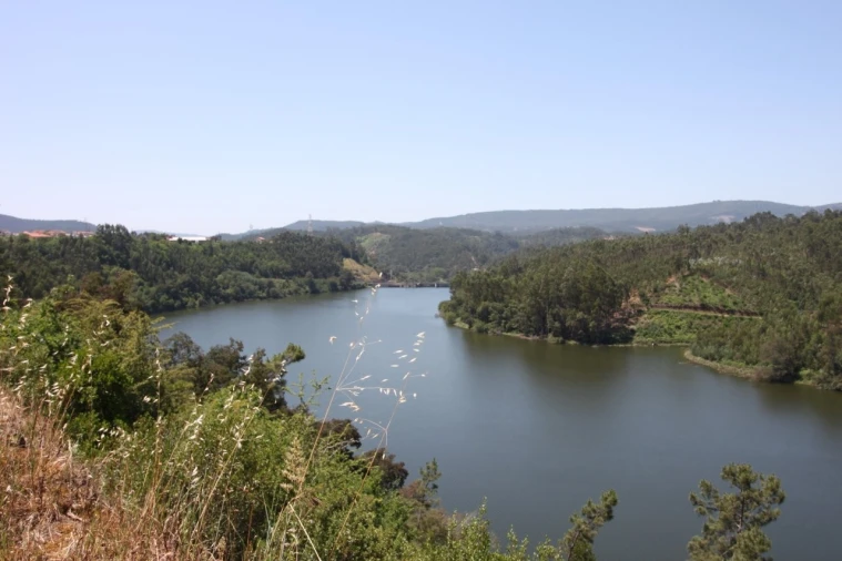 Quinta T15 para Venda em Penacova Foto 29