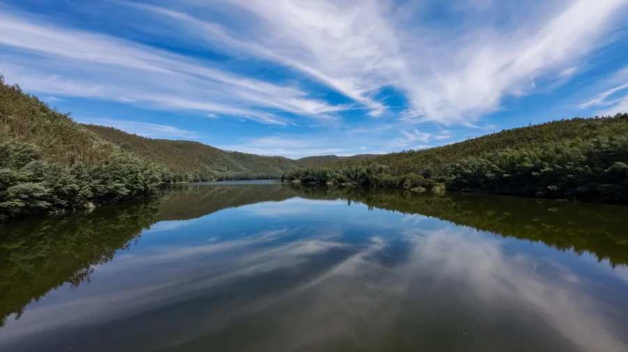 Quinta T15 para Venda em Penacova Foto 37