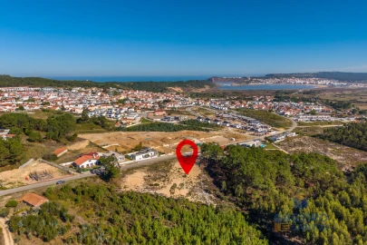 Terreno para Venda em Tornada e Salir do Porto