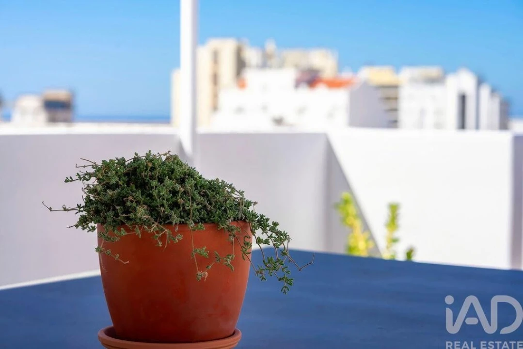 Apartamento T3 para Venda em Faro (Sé e São Pedro) Foto 24