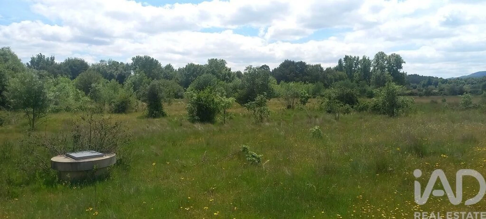 Terreno para Venda em Enxames Foto 2