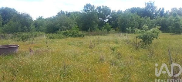 Terreno para Venda em Enxames