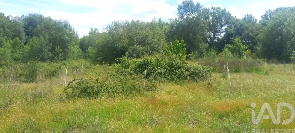 Terreno para Venda em Enxames