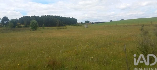 Terreno para Venda em Enxames