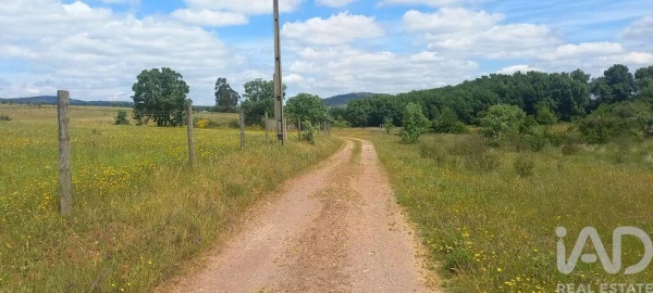 Terreno para Venda em Enxames