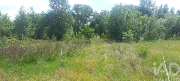 Terreno para Venda em Enxames