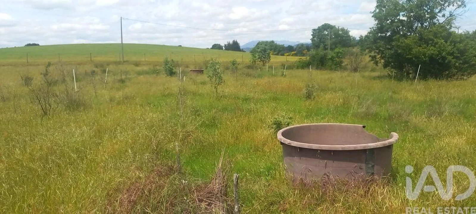 Terreno para Venda em Enxames Foto 13