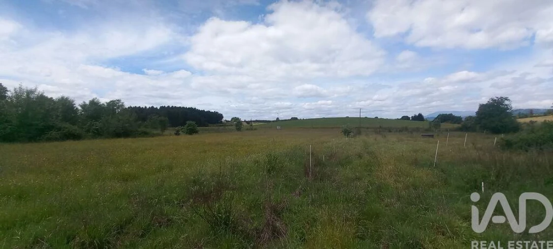 Terreno para Venda em Enxames Foto 6
