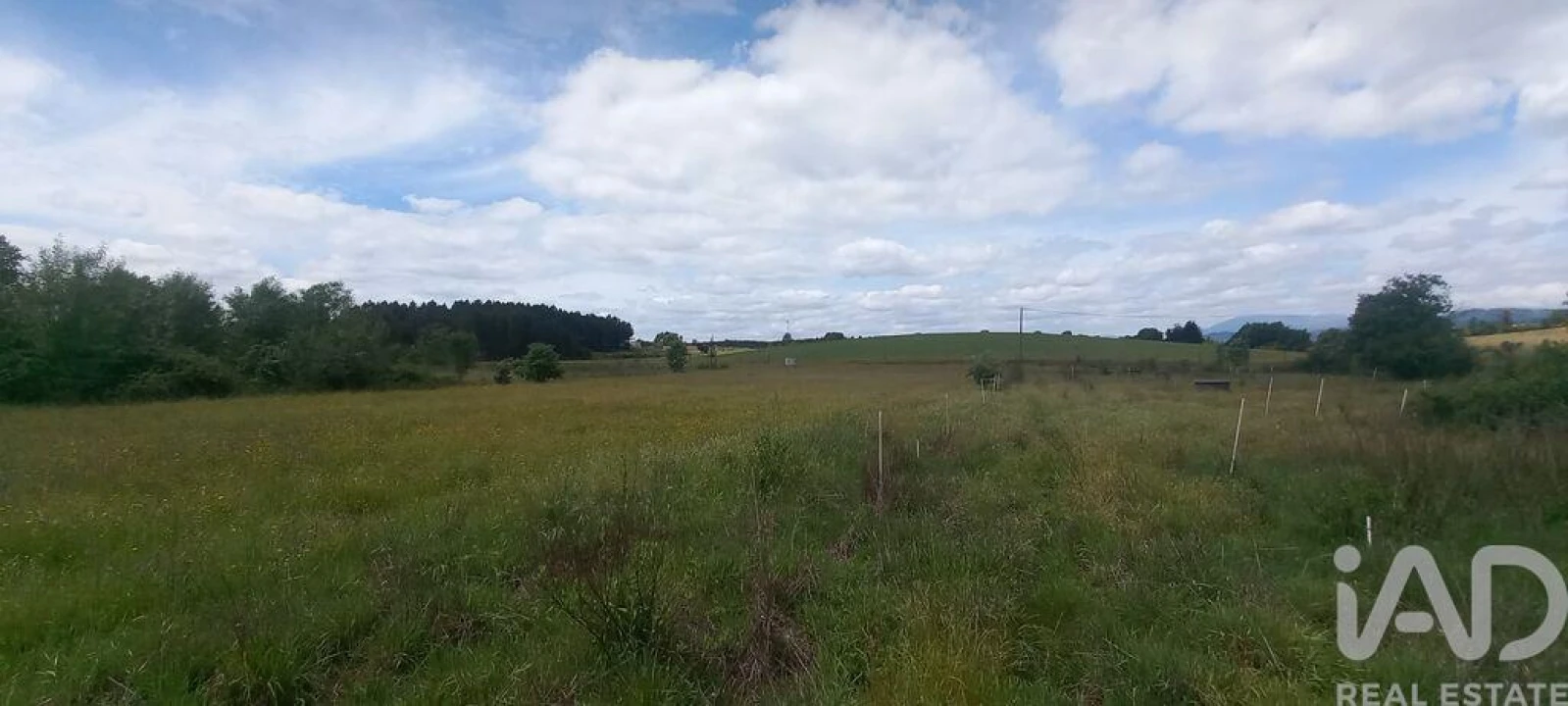 Terreno para Venda em Enxames Foto 6
