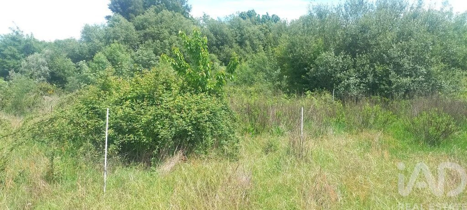 Terreno para Venda em Enxames Foto 11