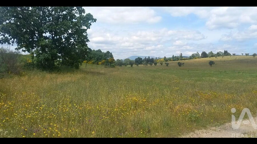 Terreno para Venda em Enxames