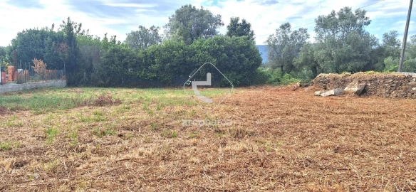 Terreno para Venda em Santa Maria Maior e Monserrate e Meadela
