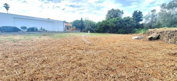 Terreno para Venda em Santa Maria Maior e Monserrate e Meadela