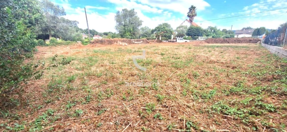 Terreno para Venda em Santa Maria Maior e Monserrate e Meadela
