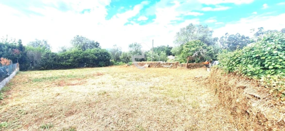 Terreno para Venda em Santa Maria Maior e Monserrate e Meadela