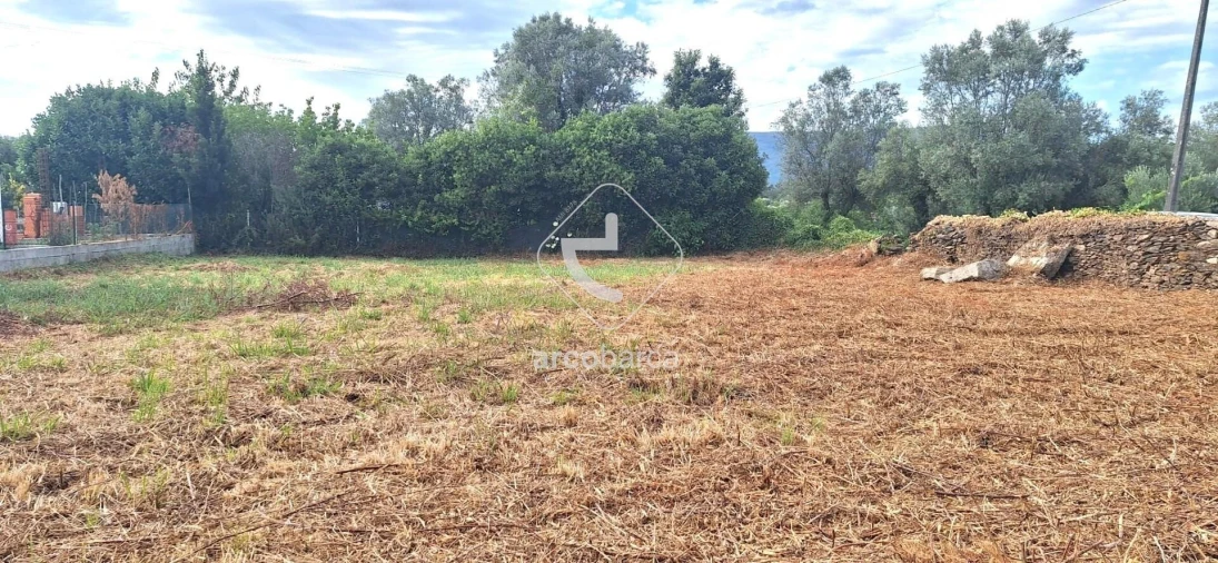 Terreno para Venda em Santa Maria Maior e Monserrate e Meadela Foto 11