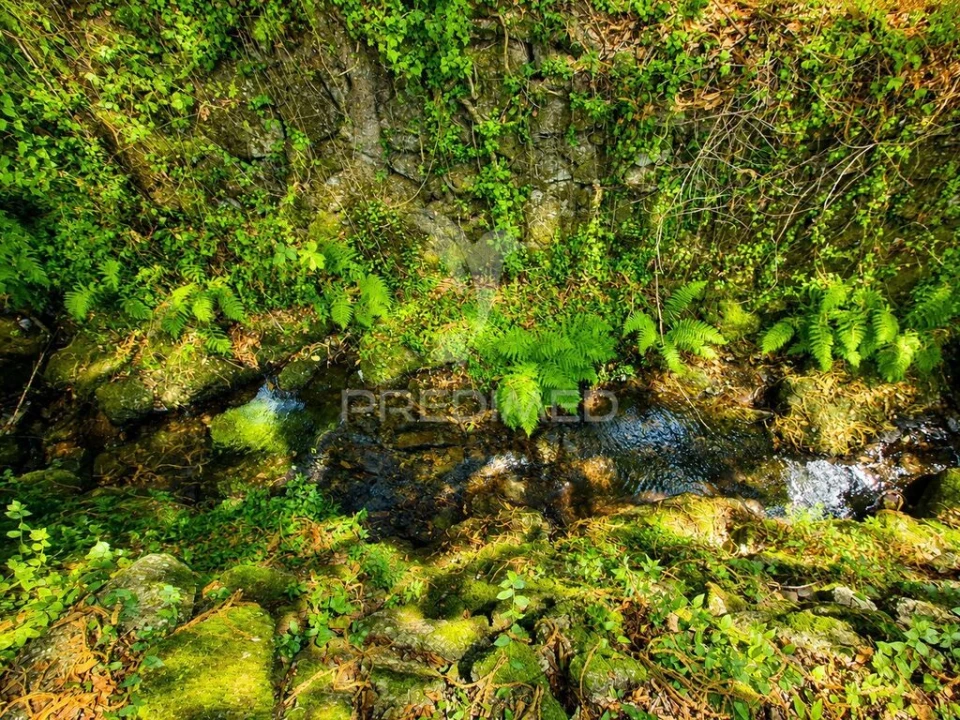 Quinta para Venda em Sande, Vilarinho, Barros e Gomide Foto 17
