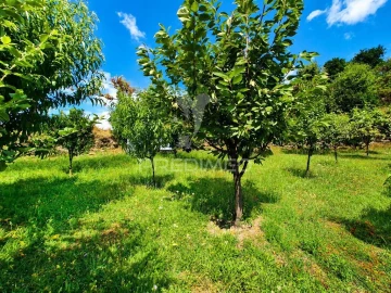 Quinta para Venda em Sande, Vilarinho, Barros e Gomide