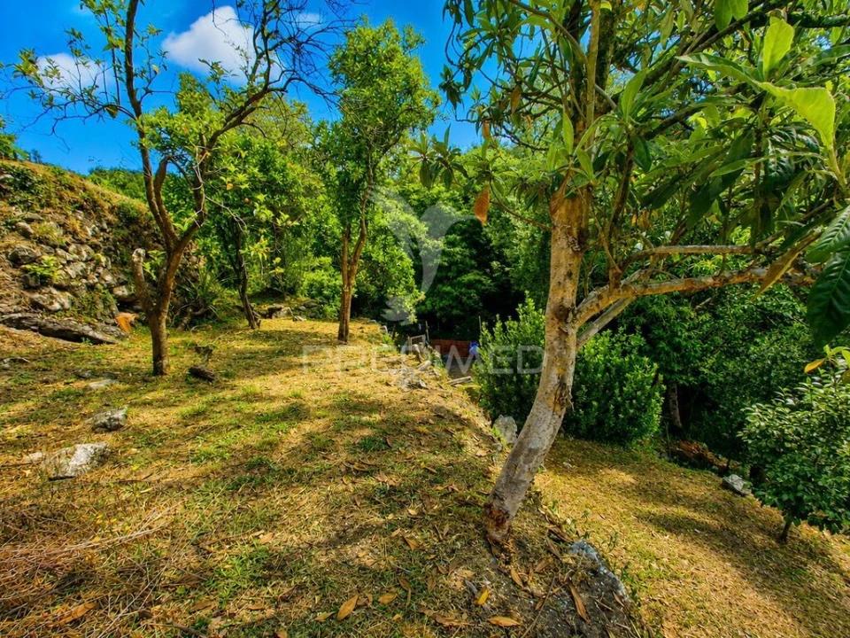Quinta para Venda em Sande, Vilarinho, Barros e Gomide Foto 18