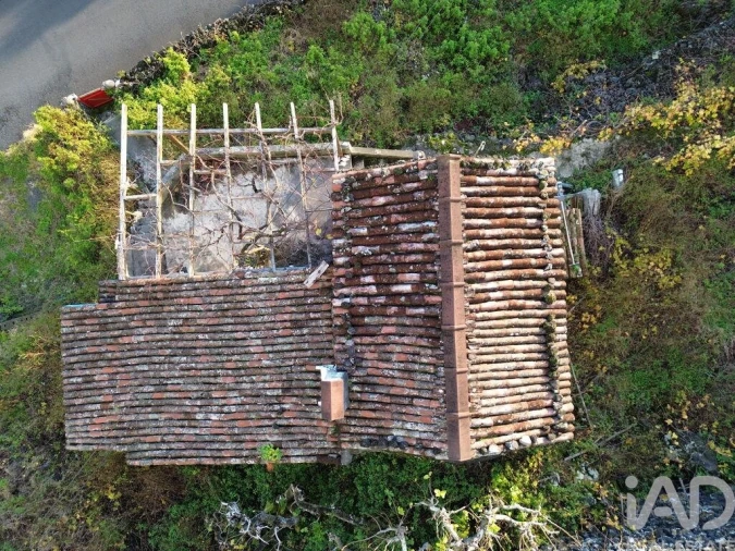 Terreno para Venda em Ribeiras Foto 20