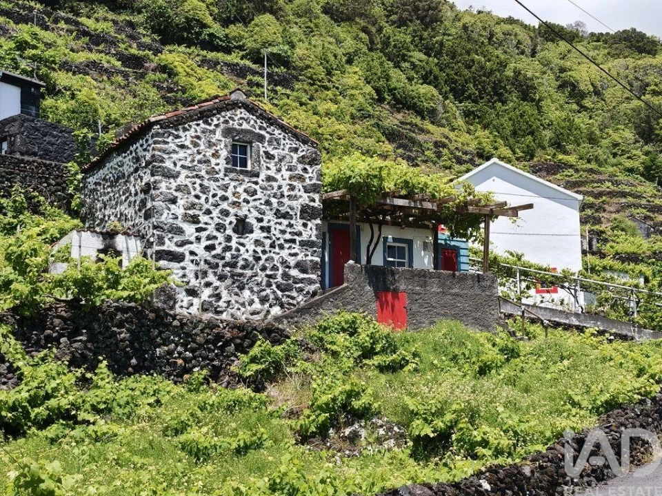 Terreno para Venda em Ribeiras Foto 3