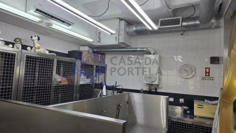 Negócio para Venda em Ramalde