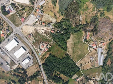 Quinta para Venda em Mangualde, Mesquitela e Cunha Alta