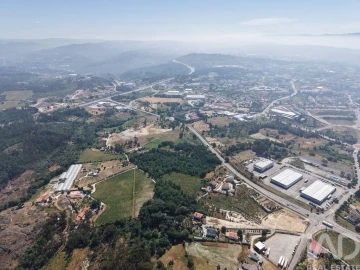 Quinta para Venda em Mangualde, Mesquitela e Cunha Alta