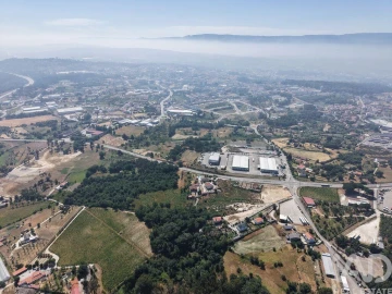 Quinta para Venda em Mangualde, Mesquitela e Cunha Alta