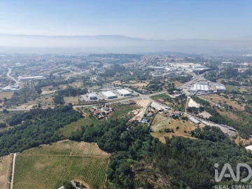 Quinta para Venda em Mangualde, Mesquitela e Cunha Alta